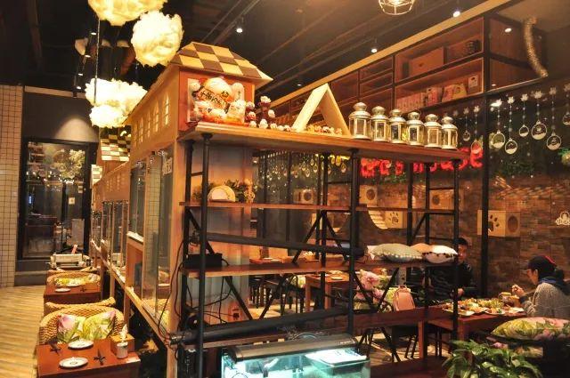 卡拉猫日料主题餐厅:增强客户黏性有这几种方法