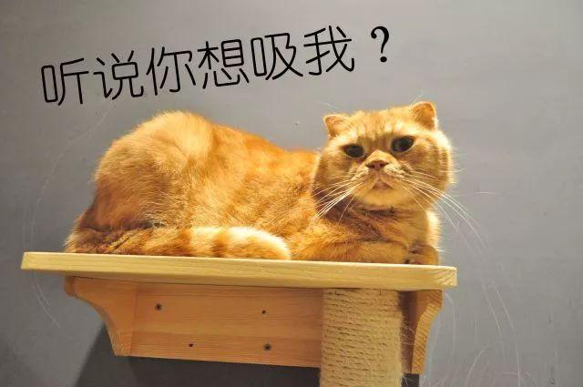 卡拉猫日料主题餐厅:增强客户黏性有这几种方法